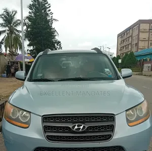 Hyundai Santa Fe 2008 Blue