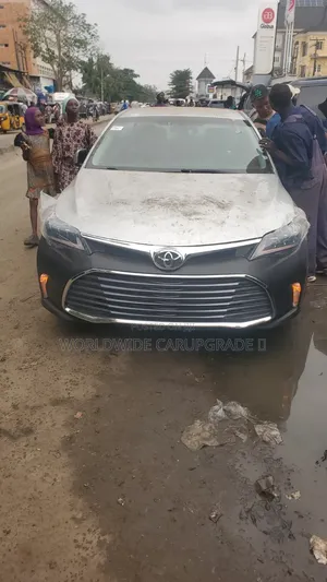 Avalon Bumper and Light
