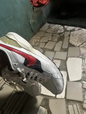 Nike USA Shoe