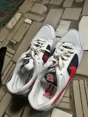 Nike USA Shoe