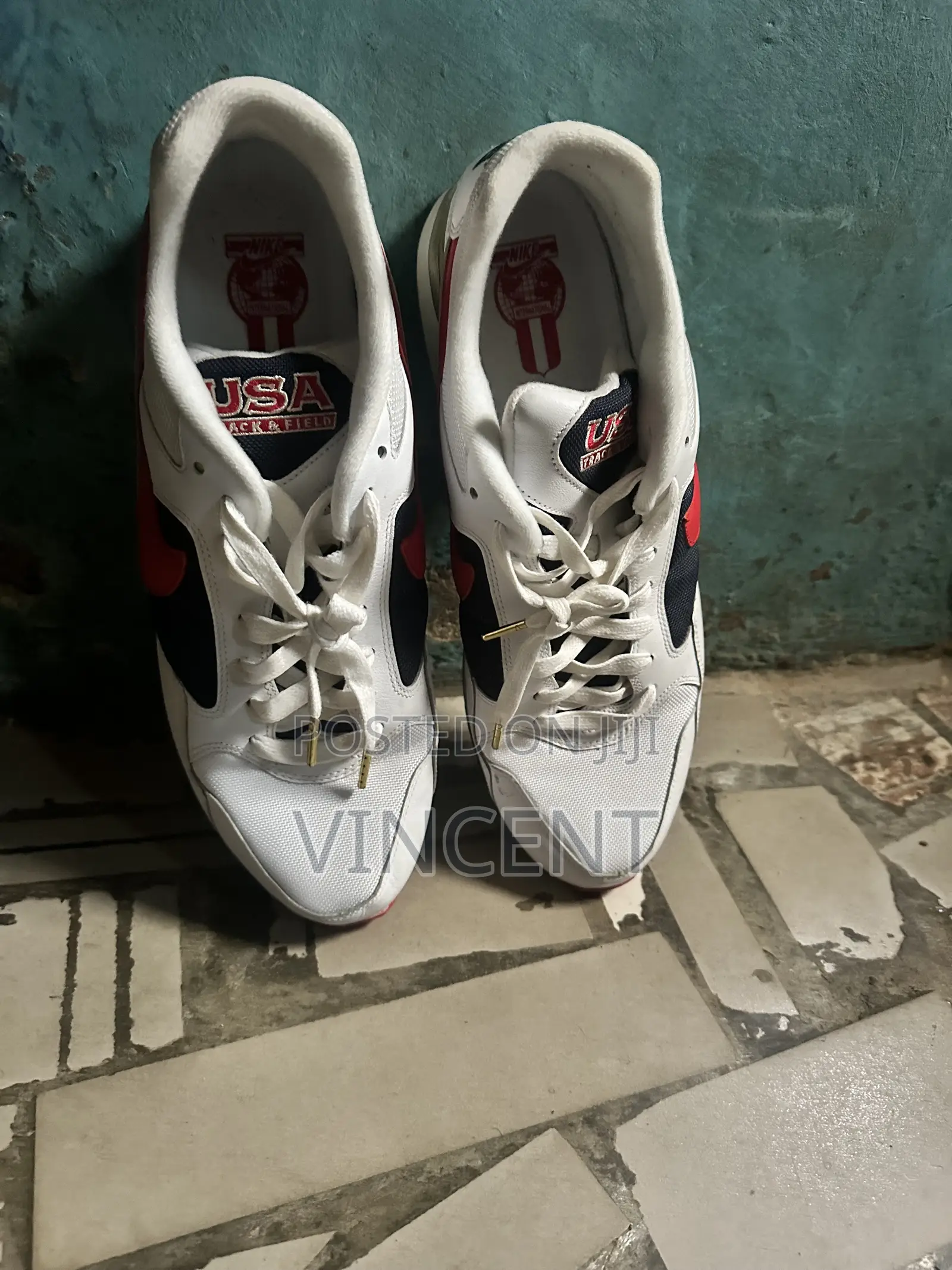 Nike USA Shoe