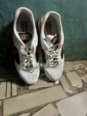 Nike USA Shoe