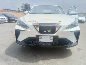 New Dongfeng EV EX1 2025 White