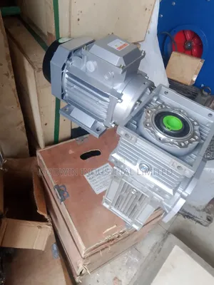 Double Gearelectric Motor
