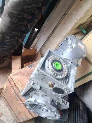 Double Gearelectric Motor