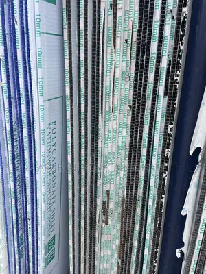 Exclusive Danpalon Polycarbonate Roof
