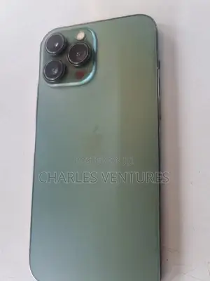 Apple iPhone 13 Pro Max 128 GB Green