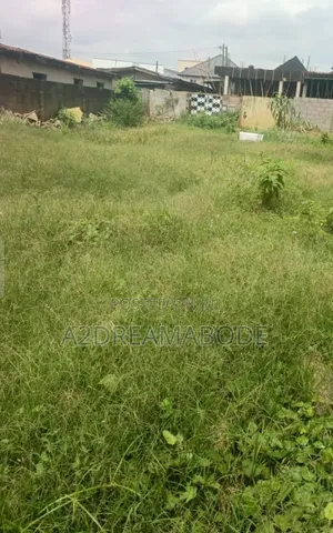 Nice Bareland