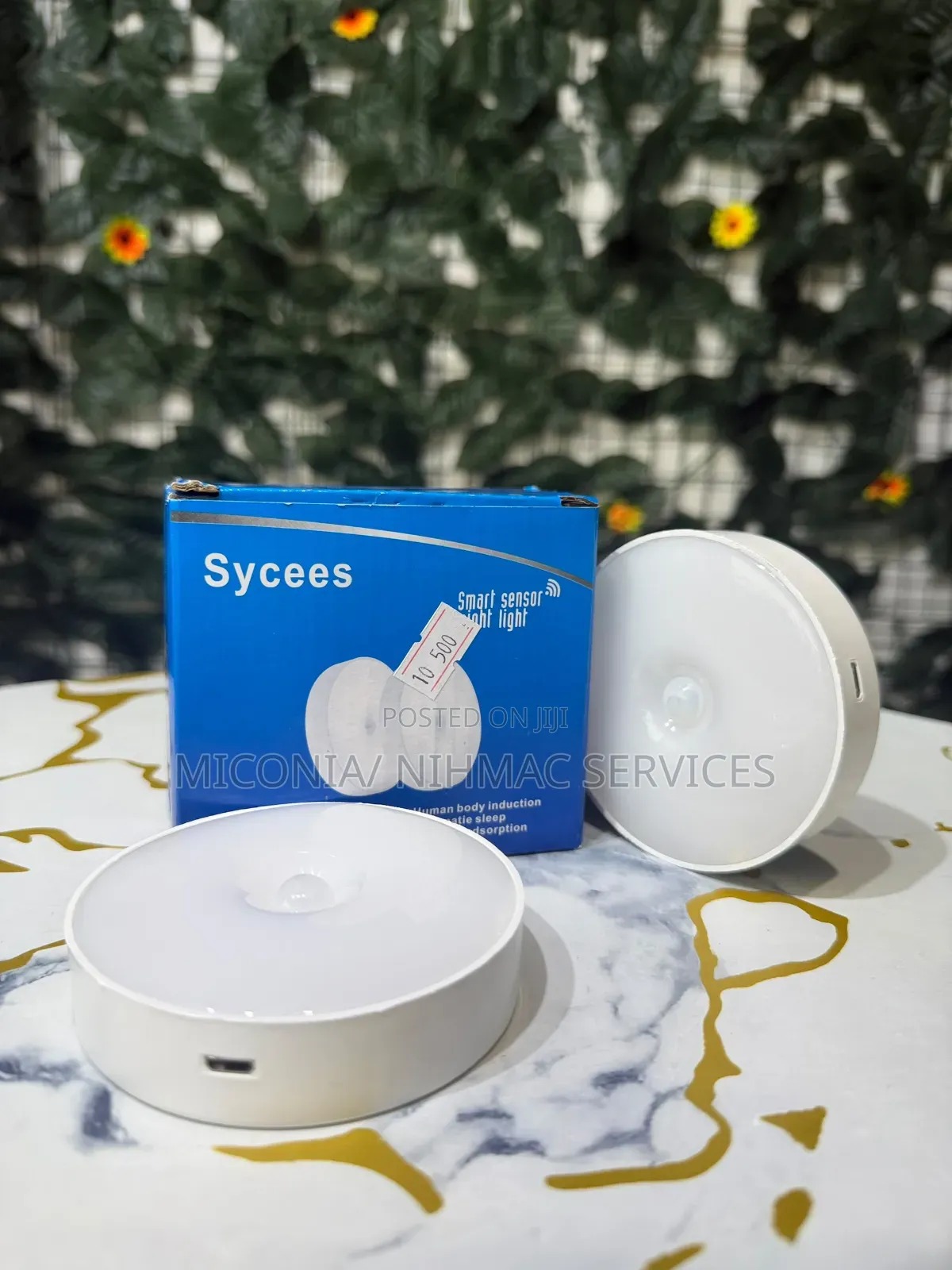 2 in 1 Night Light Sensor