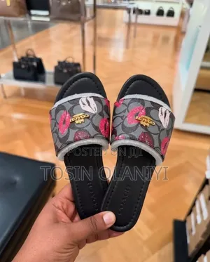 Beautiful Coach Slides