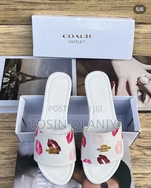 Beautiful Coach Slides