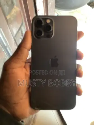 Apple iPhone 12 Pro Max 128 GB Gray