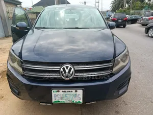 Volkswagen Tiguan 2013 Blue