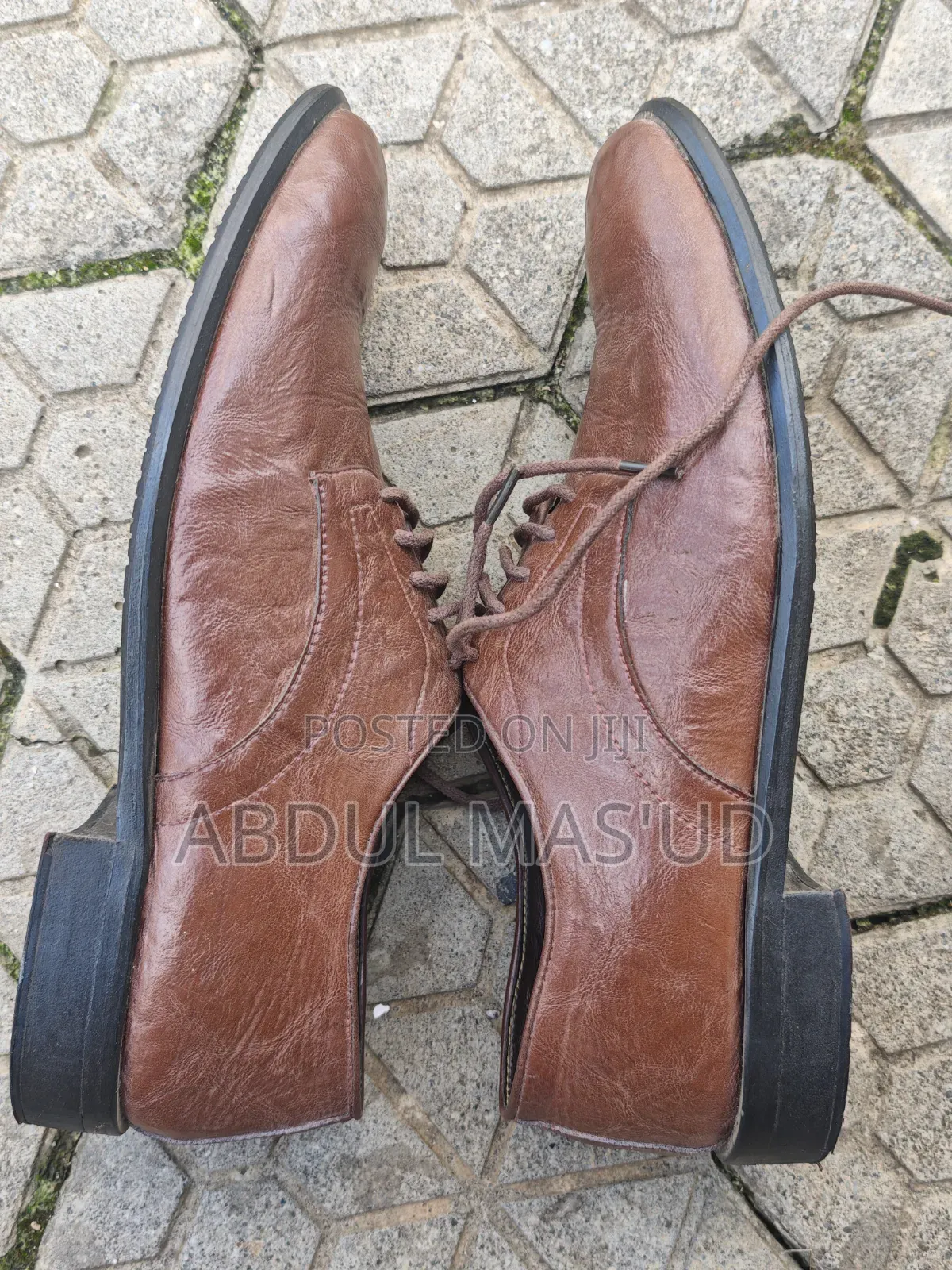 Size 44 Corporate Shoe