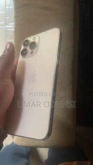 Apple iPhone 13 Pro Max 256 GB Silver
