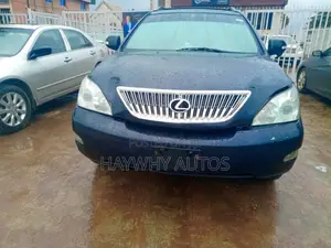 Lexus RX 330 2006 Gray