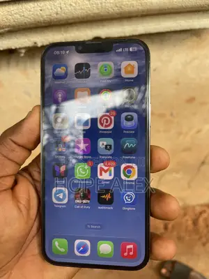 Apple iPhone 13 Pro Max 256 GB Gray