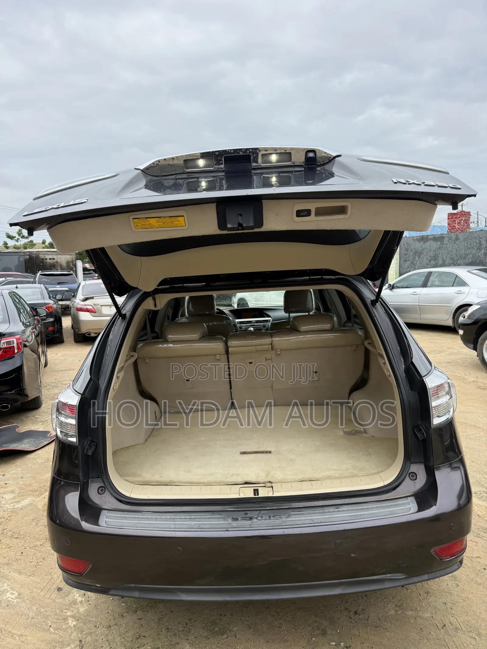 Lexus RX 350 2010 Brown