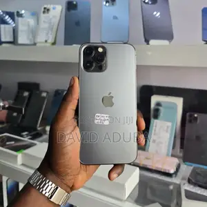 New Apple iPhone 12 Pro Max 128 GB Gray