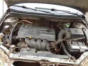 Toyota Corolla 2003 Gray