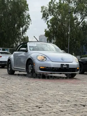 Volkswagen Beetle 2015 Silver