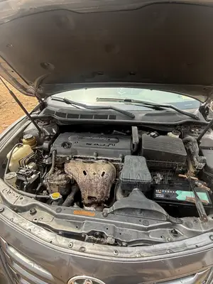 Toyota Camry LE 4dr Sedan (2.4L 4cyl 5A) 2009 Gray
