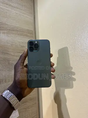 Apple iPhone 13 Pro Max 256 GB Green