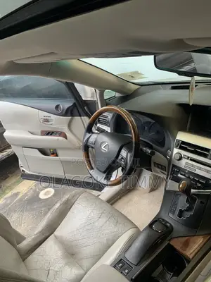 Lexus RX 2010 Silver