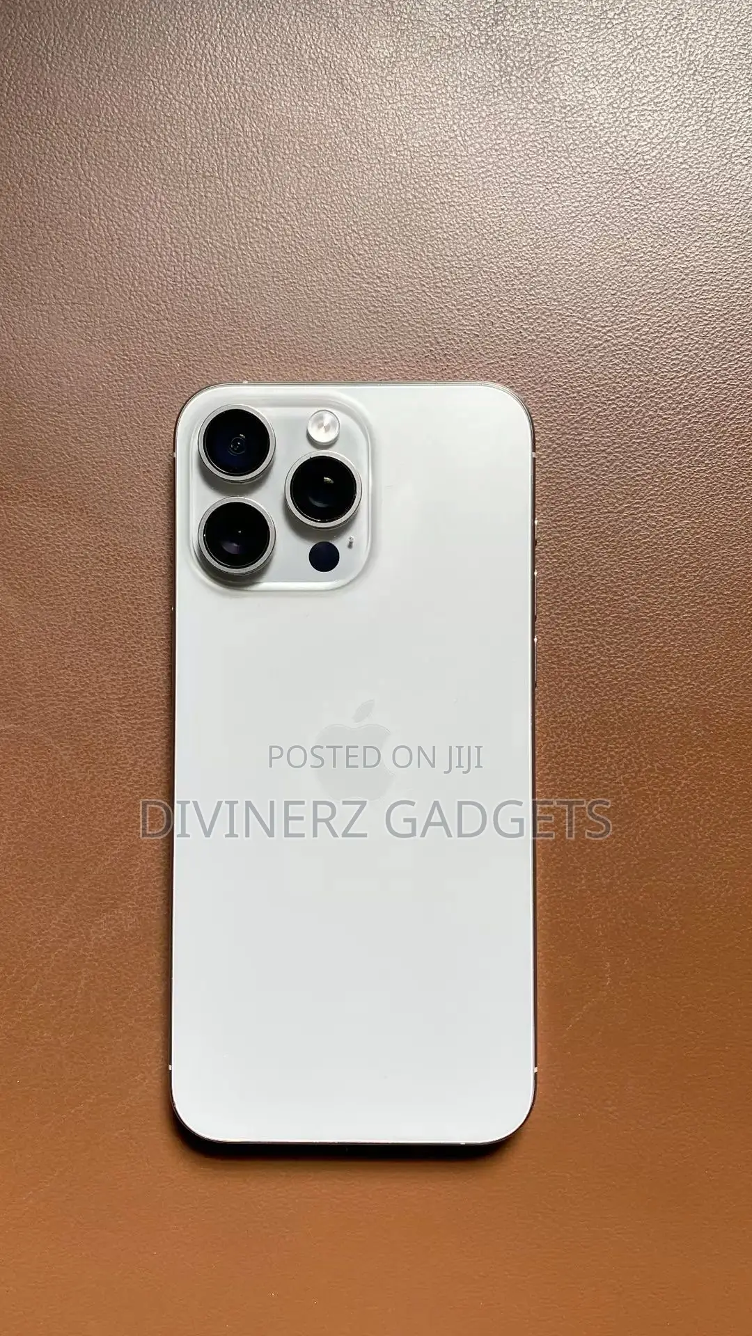 Apple iPhone 15 Pro Max 256 GB Silver