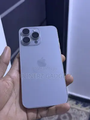 Apple iPhone 15 Pro Max 256 GB Silver