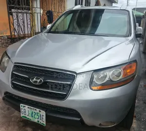 Hyundai Santa Fe 2.4 2008 Silver