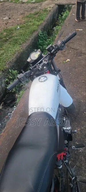 Custom Built Motorcycles 2024 White