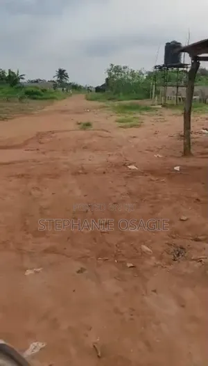 Full Plot of Land. Survey, Family Receipt.