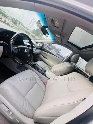 Lexus RX 350 2010 Silver