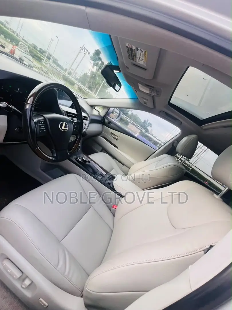 Lexus RX 350 2010 Silver