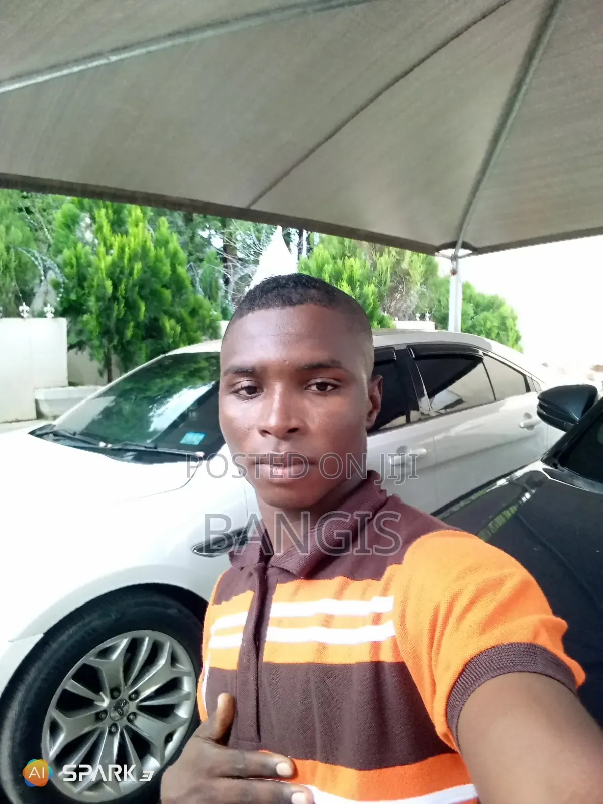 Young Shall Grow