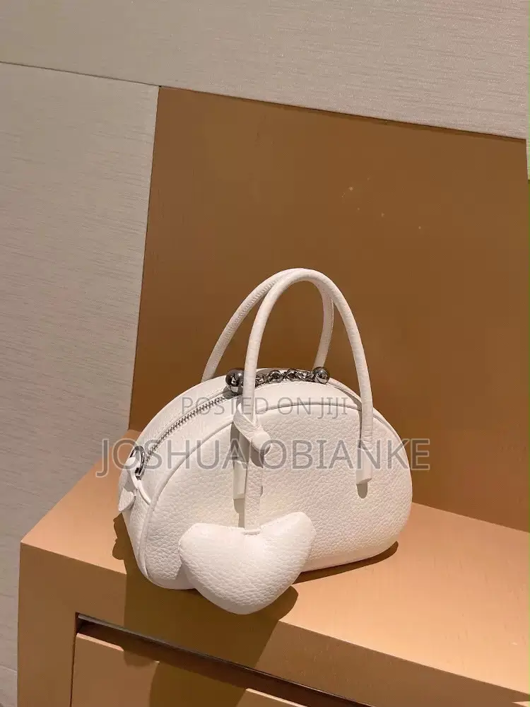 Beautiful Ladies Bag
