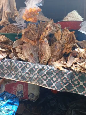 Crayfish on Bags and Painter