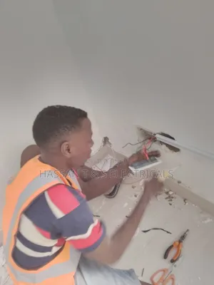 Professional Electrician