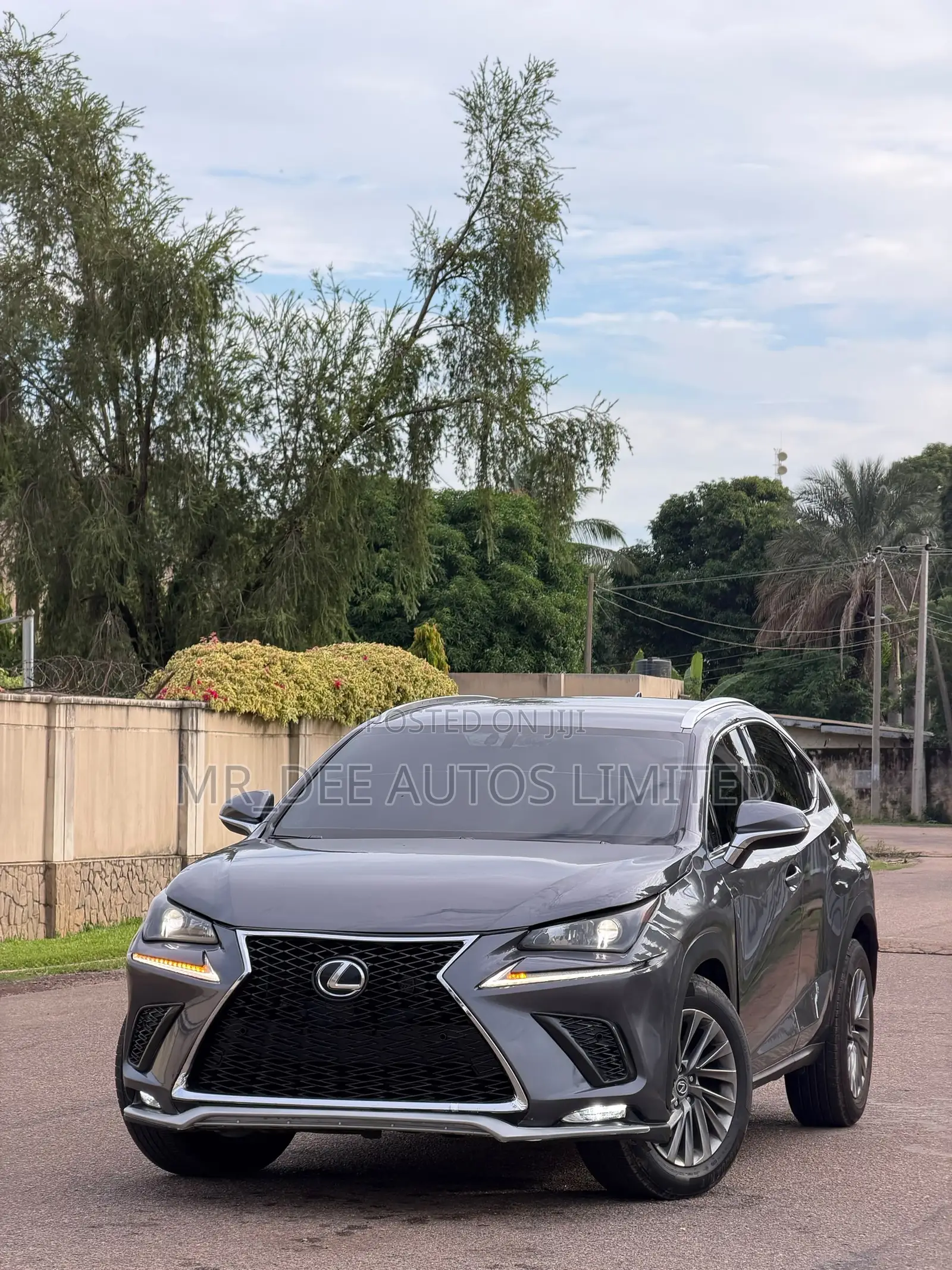 Lexus NX 2017 Gray