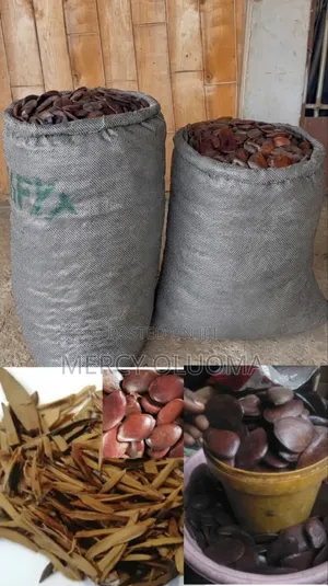 Ugba/Ukpaka (African Oil Bean Seed) We Sell by by 50kg Upward