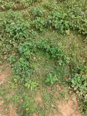 Estate Plot to Build 3bedroom Bungalow for Sale in Apo