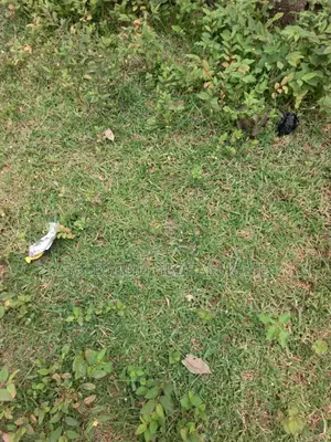 Estate Plot for 4bedroom Semi-Detached Duplex for Sale in Apo