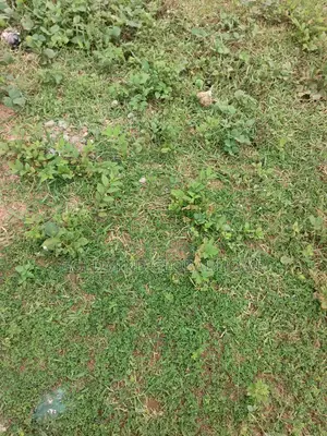 Promo Promo Estate Plot for Duplex for Sale in Apo