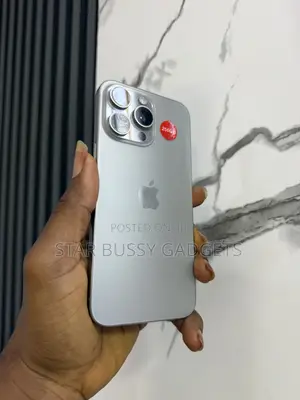 Apple iPhone 15 Pro Max 256 GB Silver