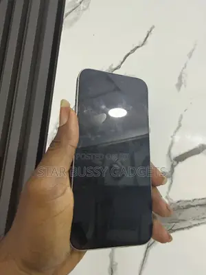 Apple iPhone 15 Pro Max 256 GB Silver