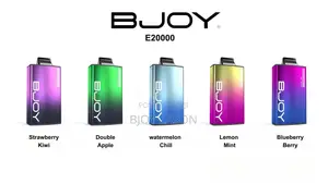 BJOY Submit Probe Device 650mAh Type-C