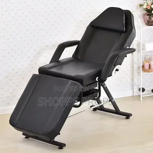Professional Foldable Massage and Tattoo Chair/Bed for Spa Salon