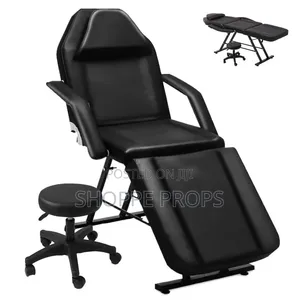 Professional Foldable Massage and Tattoo Chair/Bed for Spa Salon