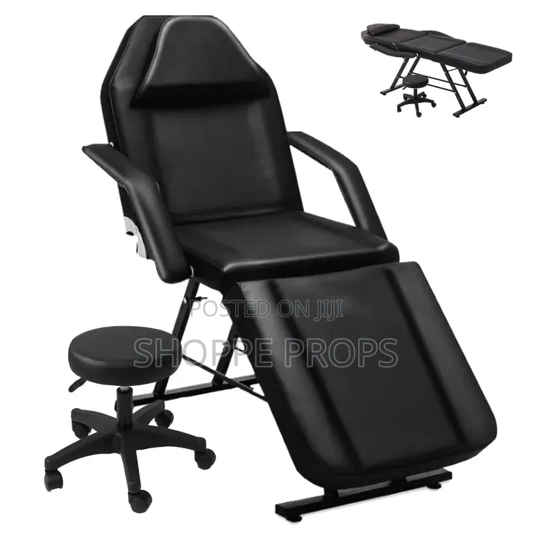 Professional Foldable Massage and Tattoo Chair/Bed for Spa Salon